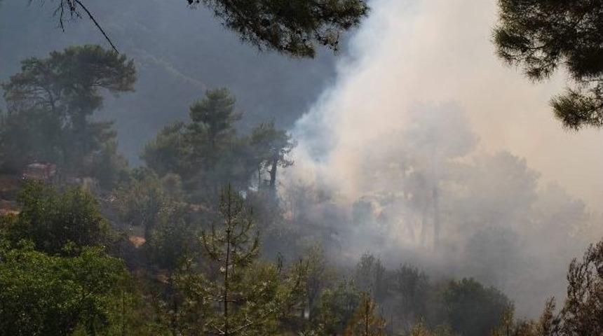 &Ccedil;ine&rsquo;de Orman Yangını