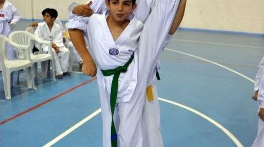 Sivas İl Tekvando Şampiyonası Suşehri&rsquo;nde Yapıldı