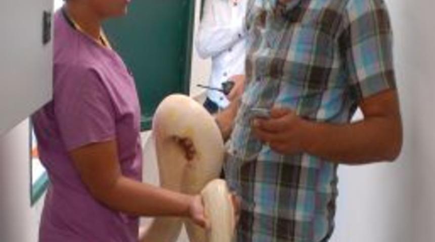 Bu Hayvanlar Ihtiya&ccedil;larından Fazlasını Yemiyor