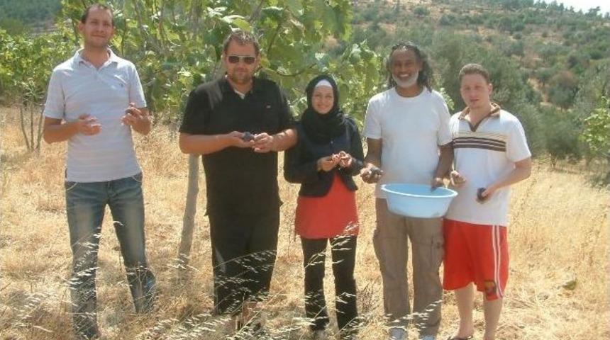 Yeni Zelanda&rsquo;dan Geldi, M&uuml;sl&uuml;man Oldu