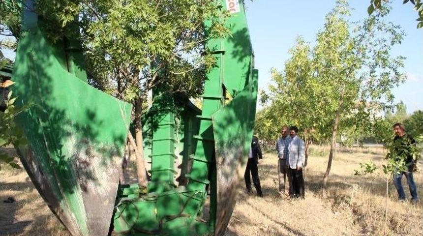 Erzincan Belediyesi&rsquo;nden Ağa&ccedil;landırma &Ccedil;alışması