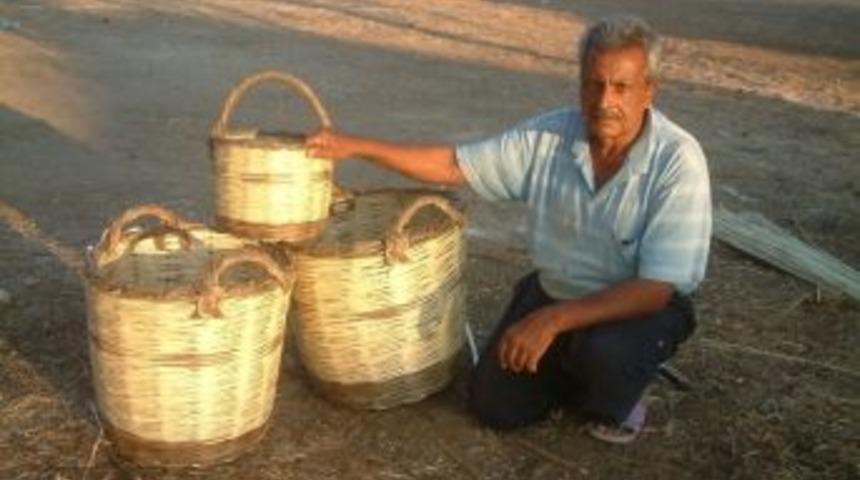 Zeytin Sepeti &Ouml;r&uuml;yor