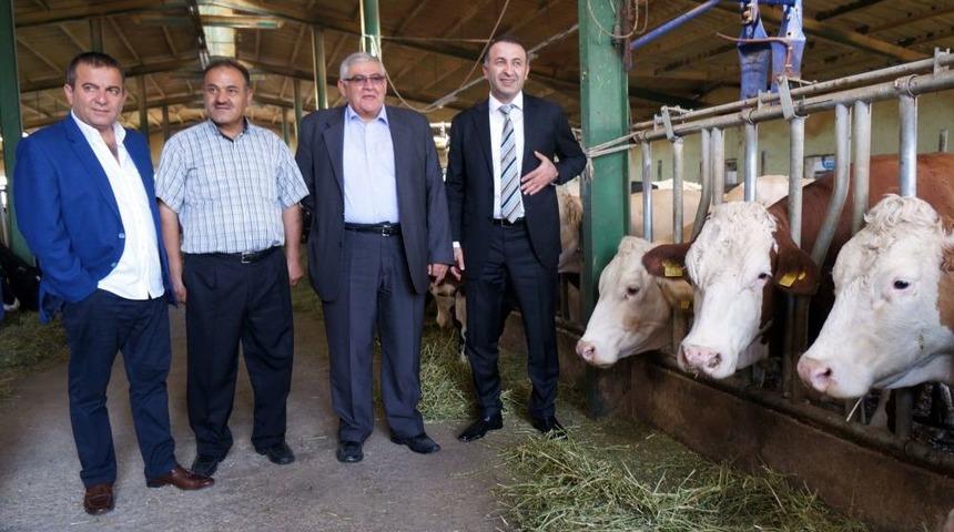 "Doğu Anadolu'da Hayvan Borsası Kurulmalı"