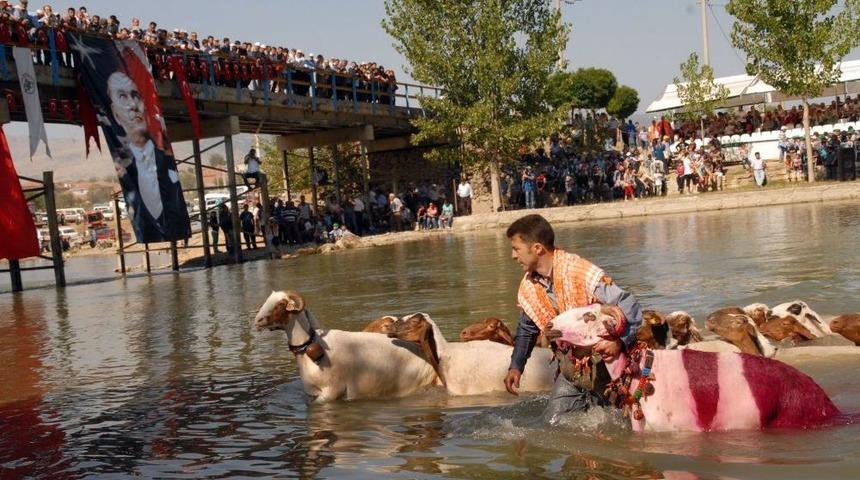 Denizli&rsquo;de 8 Asırlık Sudan Koyun Ge&ccedil;irme Yarışması UNESCO Yolunda