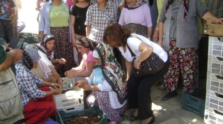 Chp Kadın Heyeti Doğanşehir&rsquo;de Kadın İş&ccedil;ileri Dinledi