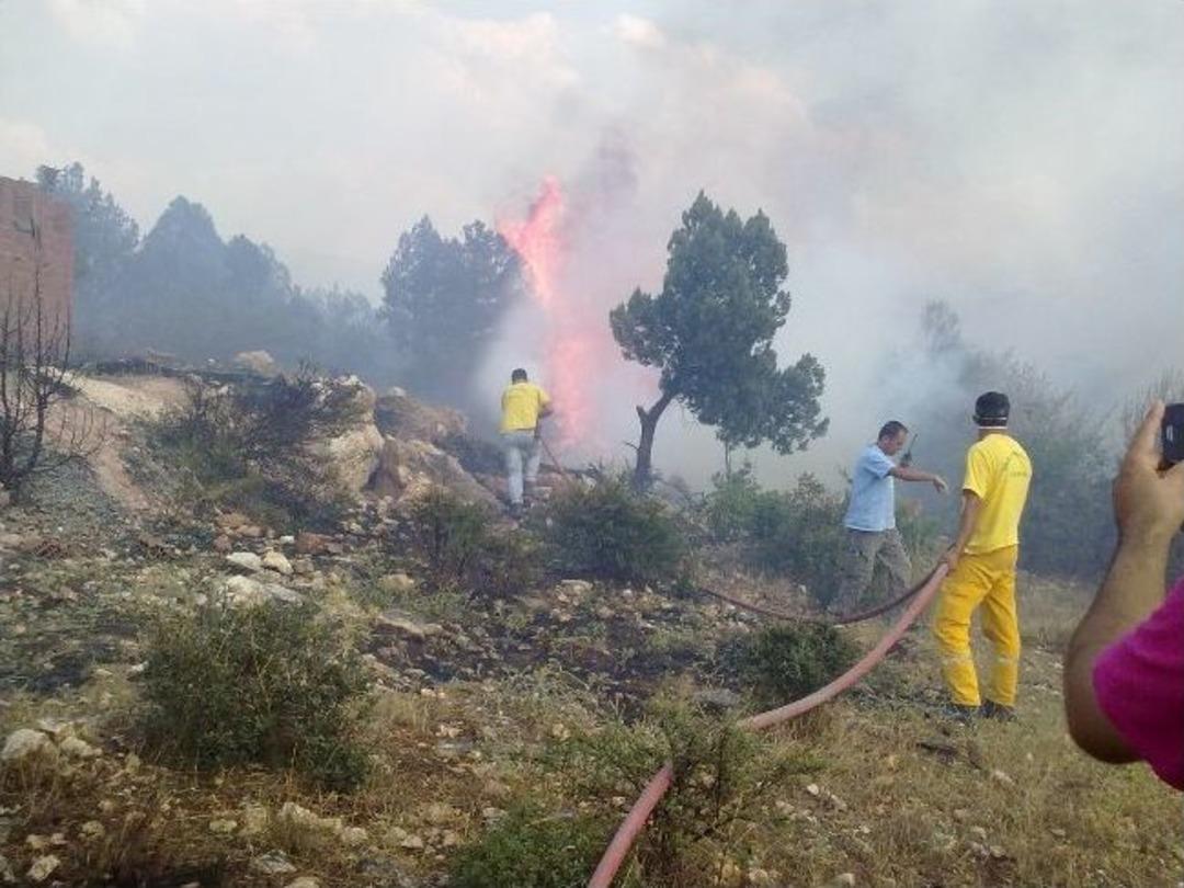 Bilecik&rsquo;teki Orman Yangınında 2 Hektarlık Alan K&uuml;l Oldu