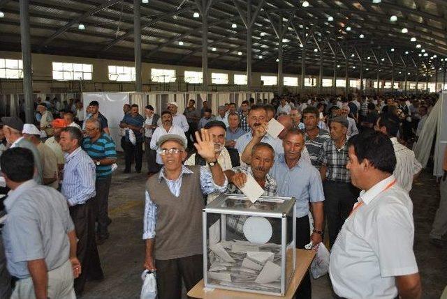 Amasya’da Pancar Üreticileri Başkanlarını Seçti