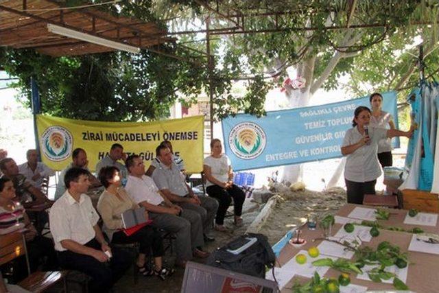 Turunçgilde 2. Çiftçi Tarla Okulu Kuyucak’ta Açıldı