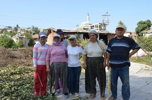 Orman Nimetleri Geçim Kapısı