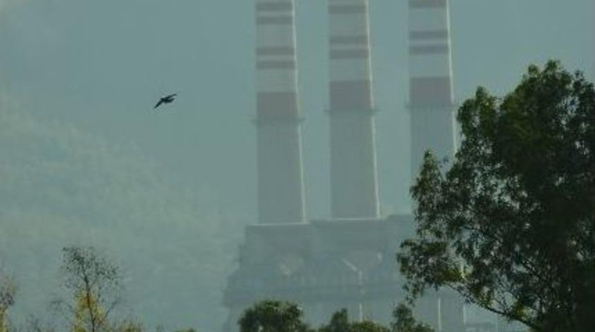 Meyve Bah&ccedil;elerinde K&uuml;l Atıklarına Rastlandı