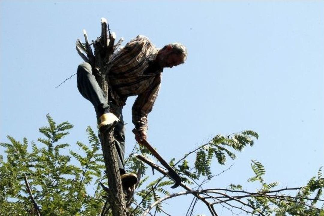 Hayata Tek Koluyla Tutunuyor