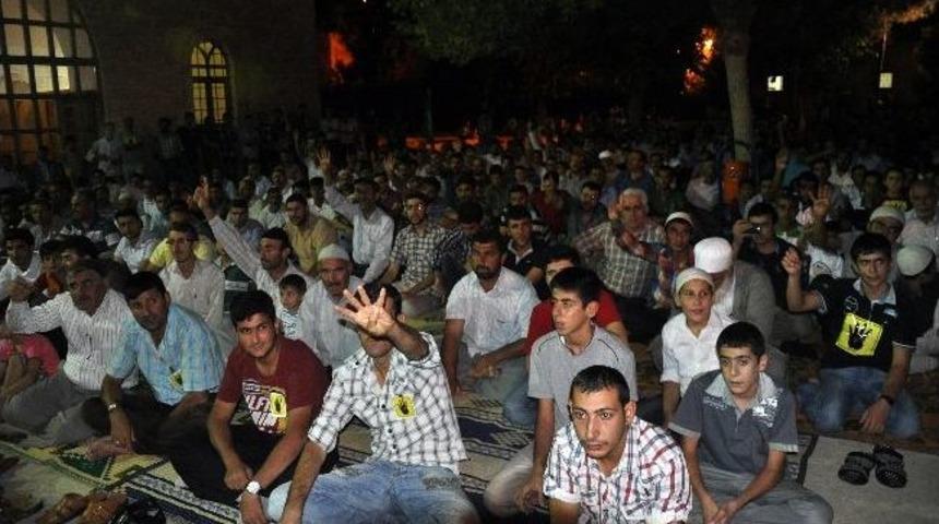 Midyat'ta Suriye Ve Mısır Protestosu