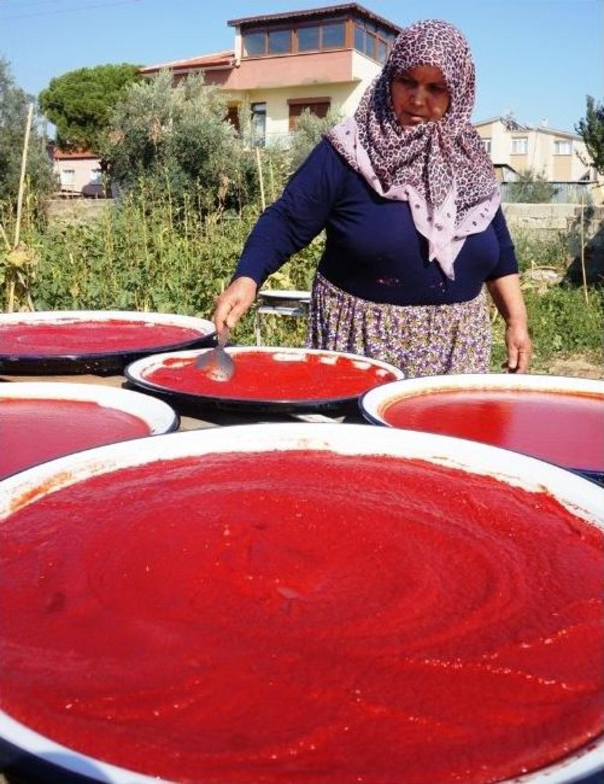 Sarıg&ouml;l&rsquo;de Kışlıklar İ&ccedil;in Kollar Sıvandı