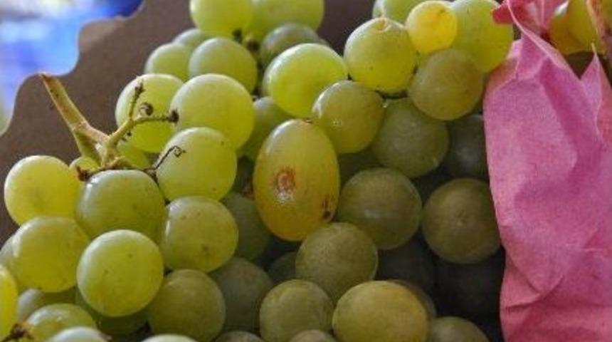 &Uuml;z&uuml;m&uuml;n &Uuml;zerindeki Ay Yıldız G&ouml;renleri Hayrete D&uuml;ş&uuml;r&uuml;yor