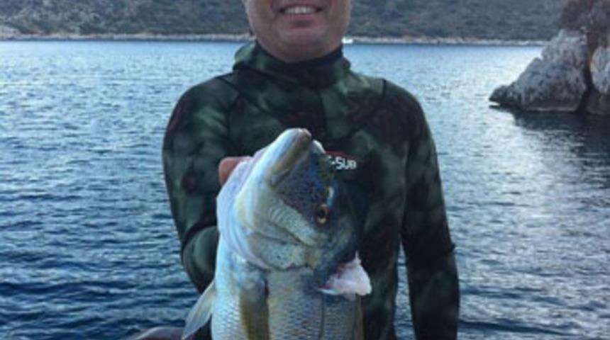 Zıpkınla balık avlarken vurgun yedi