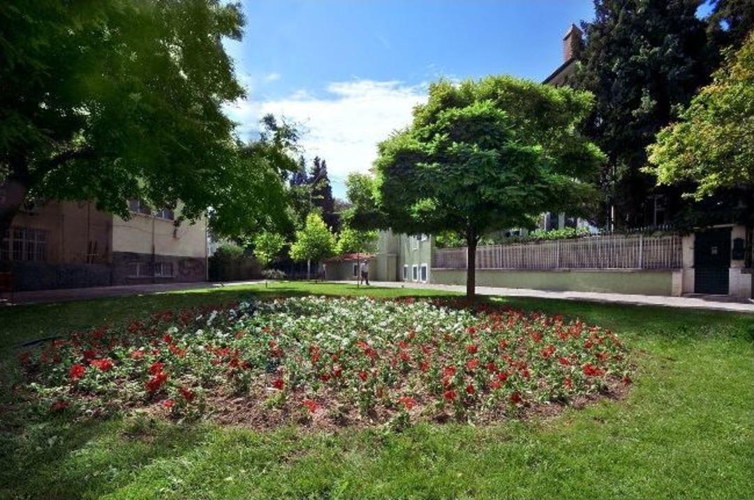Bornova Belediyesi'nden "yeşil" Atak