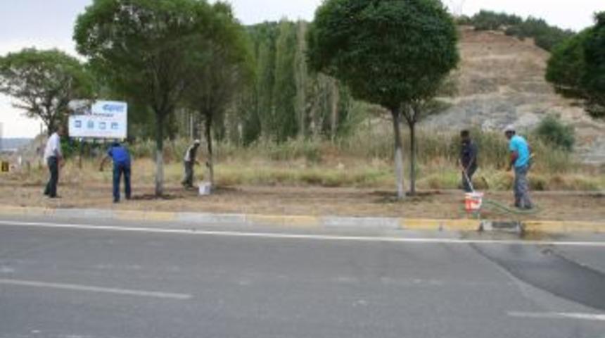 Ağa&ccedil;lara bakım