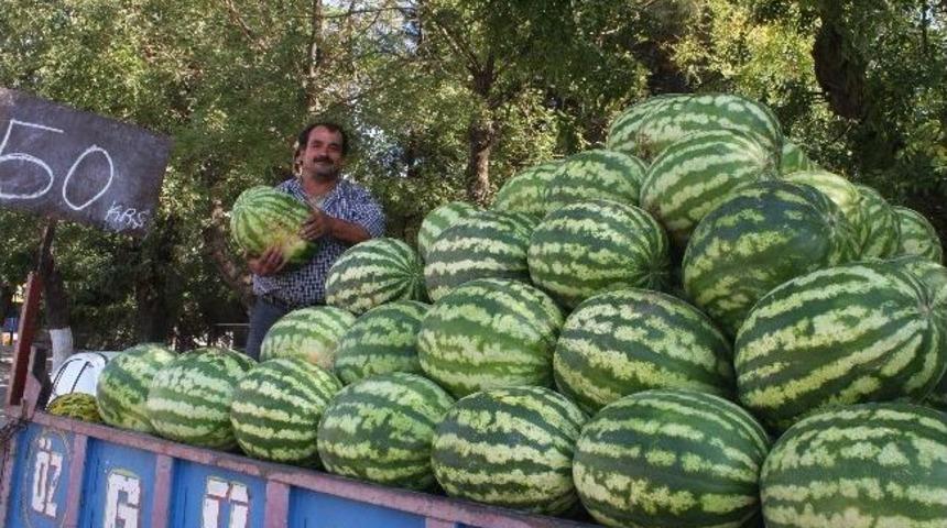 Yerlisi &Ccedil;ıkınca Karpuz Fiyatı Yarıya D&uuml;şt&uuml;