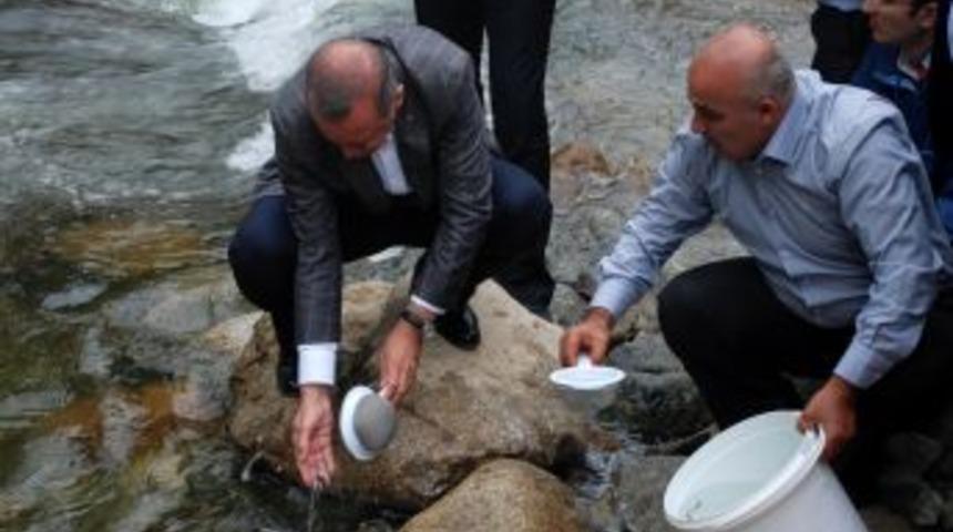 Başbakan Erdoğan, Dereye Yavru Balık Bıraktı