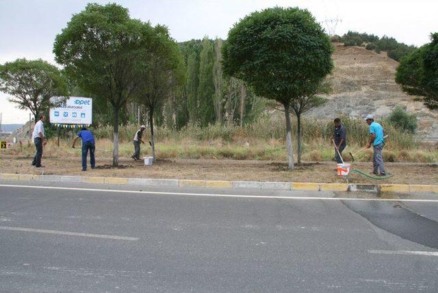 Bozüyük’te Ağaçlar Hastalıklara Karşı Kireçlenerek Ilaçlanıyor