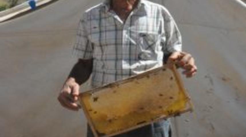 &Ccedil;&ouml;z&uuml;m S&uuml;reciyle K&ouml;ylerine D&ouml;nen Bal &Uuml;reticileri Devletten Destek Bekliyor