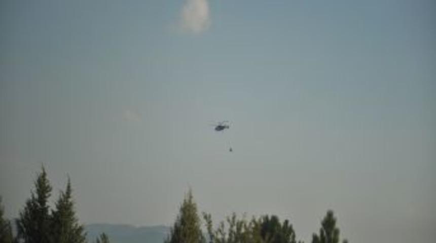 Bolu'da 20 Hektar Karaçam Ormanı Kül Oldu