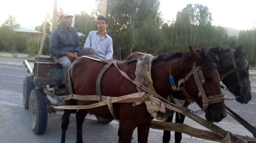 İl&ccedil;enin Son At Arabacısı