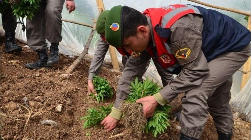 Adana'da Ka&ccedil;ak&ccedil;ılıkla Ve Uyuşturucuyla M&uuml;cadele