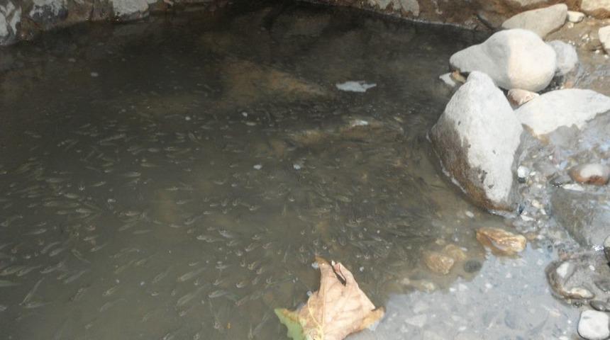 Nehrin Yatağı Değiştirilince Bin 400 Yıllık Eser G&uuml;n Y&uuml;z&uuml;ne &Ccedil;ıktı