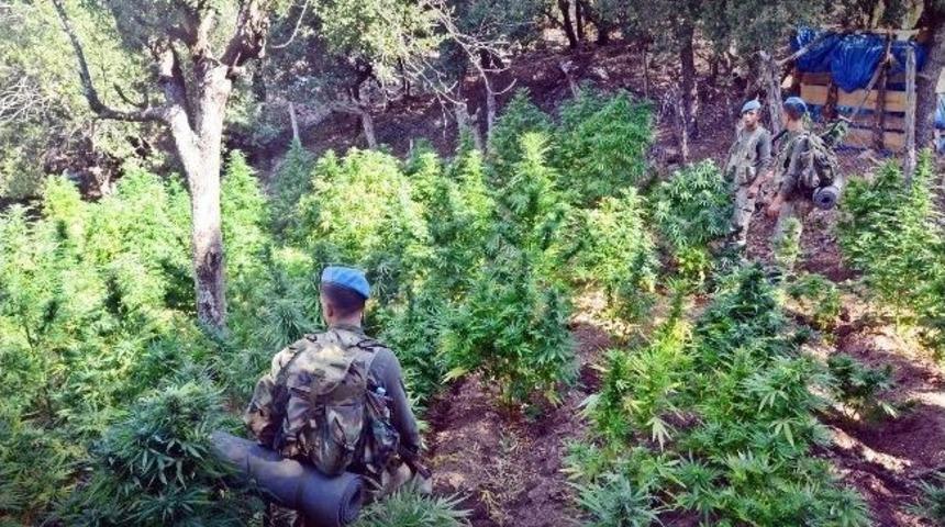 Adana&rsquo;da Dev Uyuşturucu Operasyonu