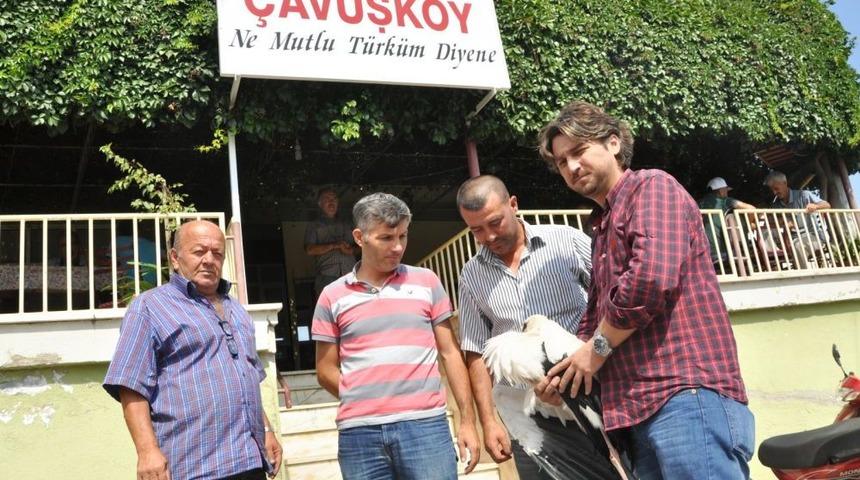 Yaralı Leyleğe Ilk Yardım