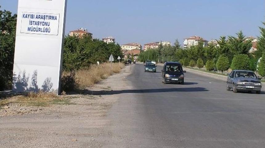 Termometreler 40&rsquo;a Yaklaştı