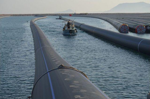 Asrın Projesinde Denizaltı Borularının Yarısı Üretildi