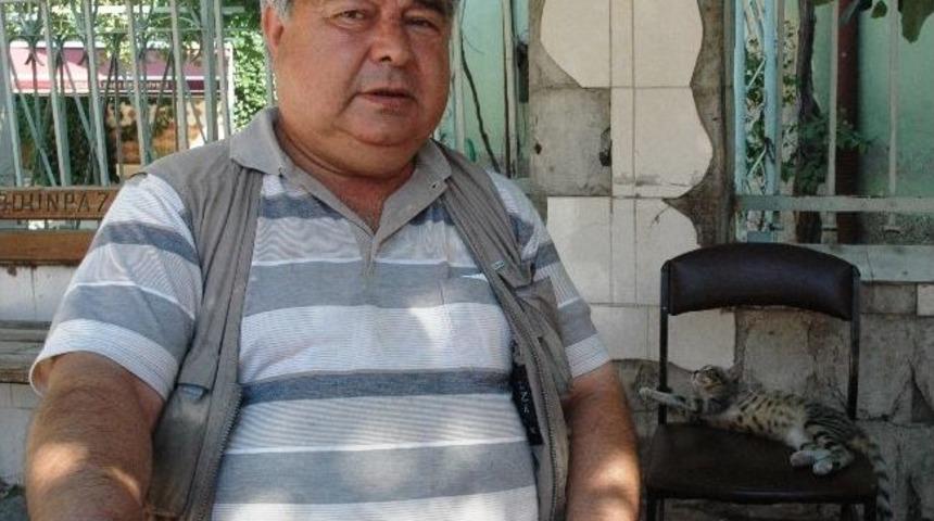 Sokak Kedileri Ona Emanet