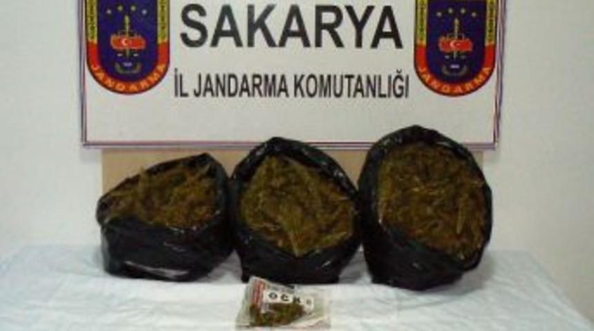 Jandarmadan Uyuşturucu Operasyonları