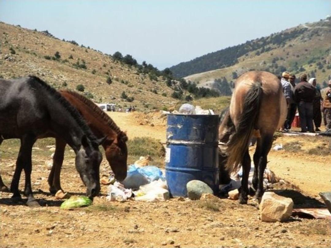Kazdağları Milli Parkı&rsquo;nda &Ccedil;&ouml;p Rezaleti