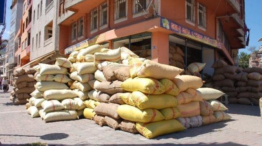 Fındıkta Şok D&uuml;ş&uuml;ş