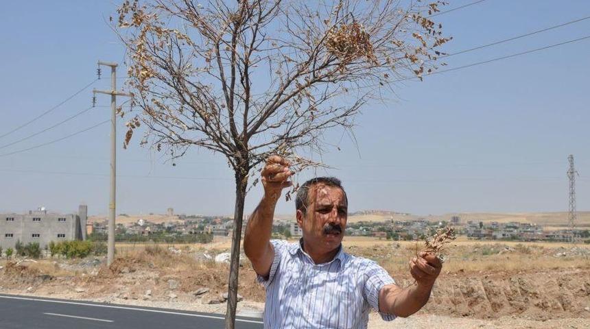 &Ccedil;evre Derneğinin Girişimleri Sonu&ccedil; Verdi