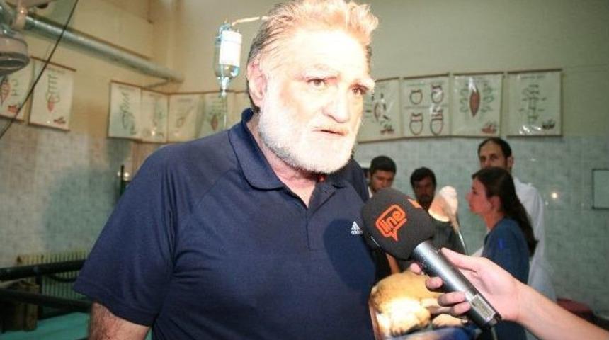 Kurdun Yaraladığı Kuzu Tedavi Edildi