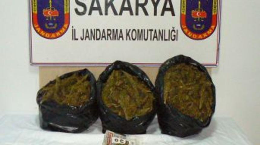Sakarya'da 12 Kilogram Esrar Ele Geçirildi