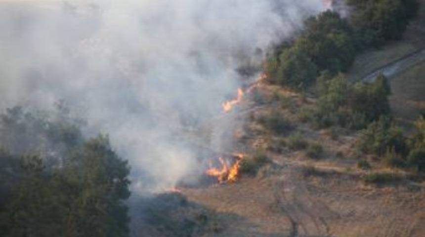 Kepsut'ta Yanan Alana K&ouml;yl&uuml;ye Gelir Getirecek 100 Bin Fıstık &Ccedil;amı Dikilecek