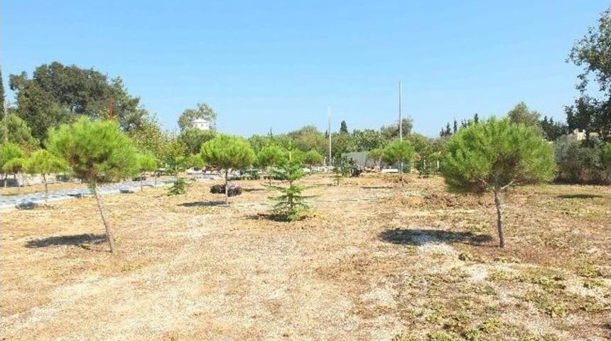 Manavgat Şehitler Ormanı Zafer Bayramı&rsquo;nda A&ccedil;ılacak