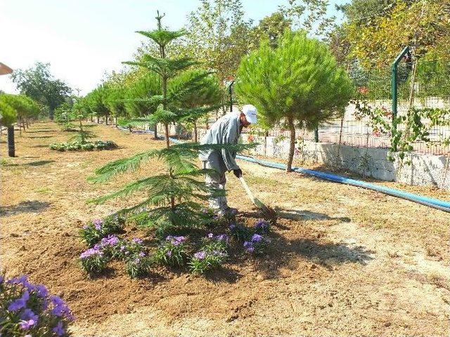 Manavgat Şehitler Ormanı Zafer Bayramı’nda Açılacak