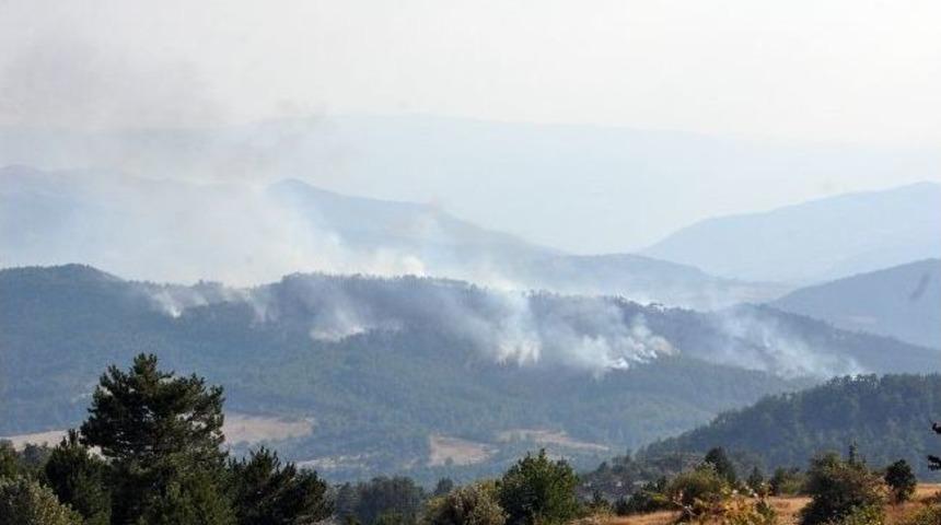 Bolu&rsquo;da İhmaller Ormanları Yakıyor