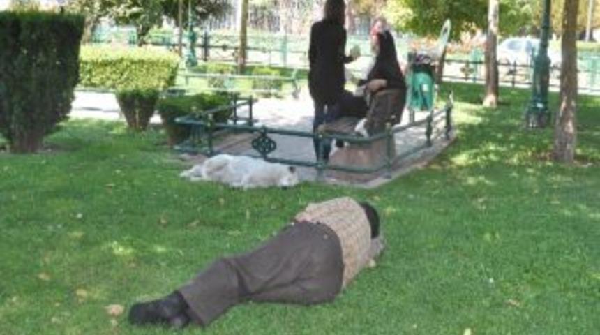 Sıcaklar Bunalttı, G&ouml;lge Bulan Uyudu