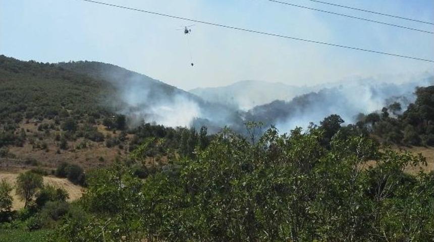 Balıkesir'deki Yangın Kontrol Altına Alındı