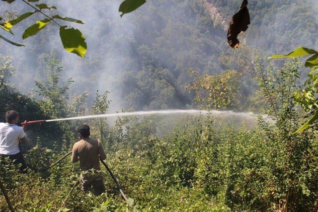 Bozkurt'ta Tarım Arazisi Yangını