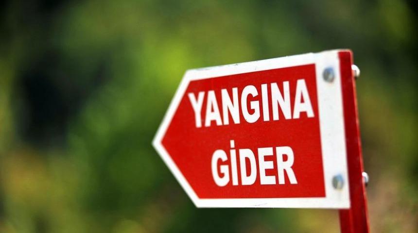 İneg&ouml;l'de Orman Yangını