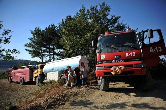 İnegöl de Orman Yangını 1