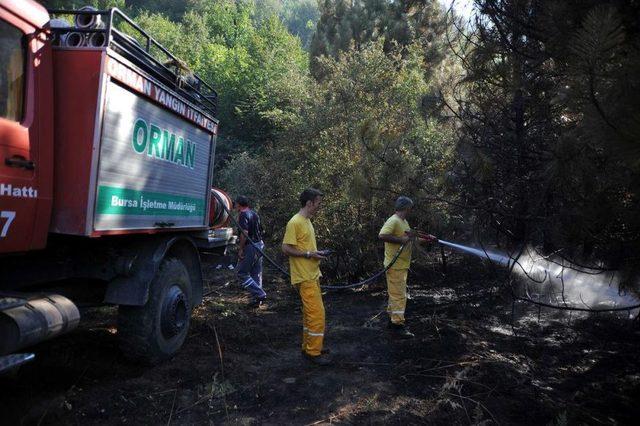 İnegöl de Orman Yangını 2